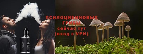 трава Великий Новгород