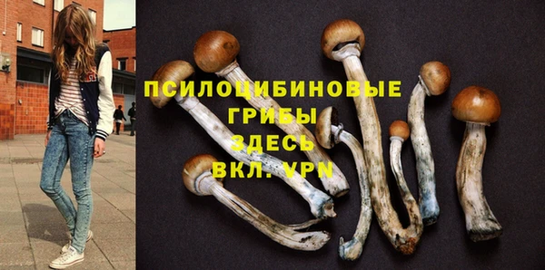 MESCALINE Братск