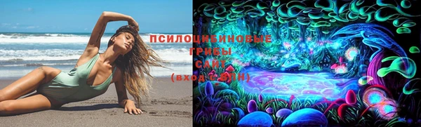 трава Великий Новгород