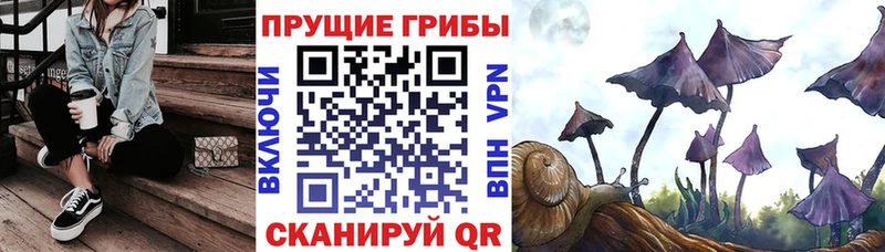 Псилоцибиновые грибы Psilocybine cubensis  Апрелевка 