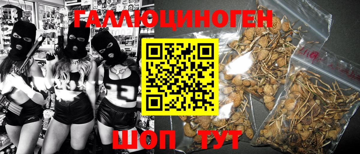 Галлюциногенные грибы мицелий  Галлюциногенные грибы Magic Shrooms  Апрелевка 