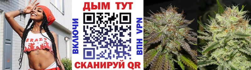 цена   Апрелевка  Каннабис ГИДРОПОН 